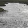 3 of a Kind - Nissequogue River Low Tide